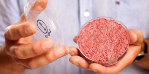 New Cultivated Meat Continuous Manufacturing Process Developed by Believer Meats Founder and Hebrew University Researchers