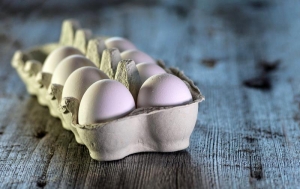 PANICĂ. Produsul alimentar de bază la care prețul angro s-a triplat