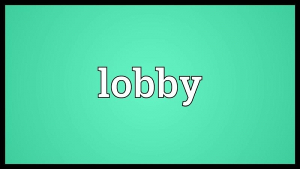 Lobby-ul sau cum să influențăm deciziile în favoarea noastră. Haiducii anticamerei se contrazic