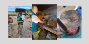 Iași: trei victime ale traficului de persoane aflate în stare de sclavie au fost salvate