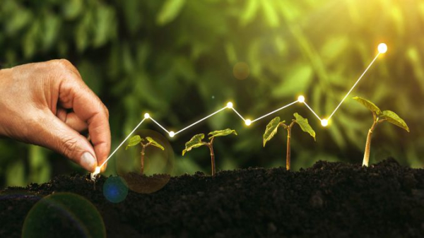 Subprogramul AGRO IMM INVEST are un grad de suprasubscriere de 675,14%