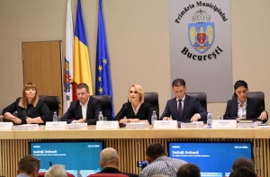 Firea a mai îndulcit amarul: proiectul vinietei Oxigen de aplică autoturismelor Euro 4 din 2021