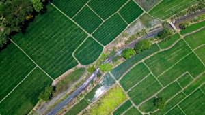 IoT, precision farming și biotehnologia - tendințele agritech care definesc viitorul agriculturii românești (raport)