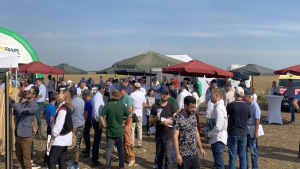 Alina Crețu, APPR: „Producțiile hibrizilor prezenți în platformă au variat între 4 și 5 tone pe hectar”